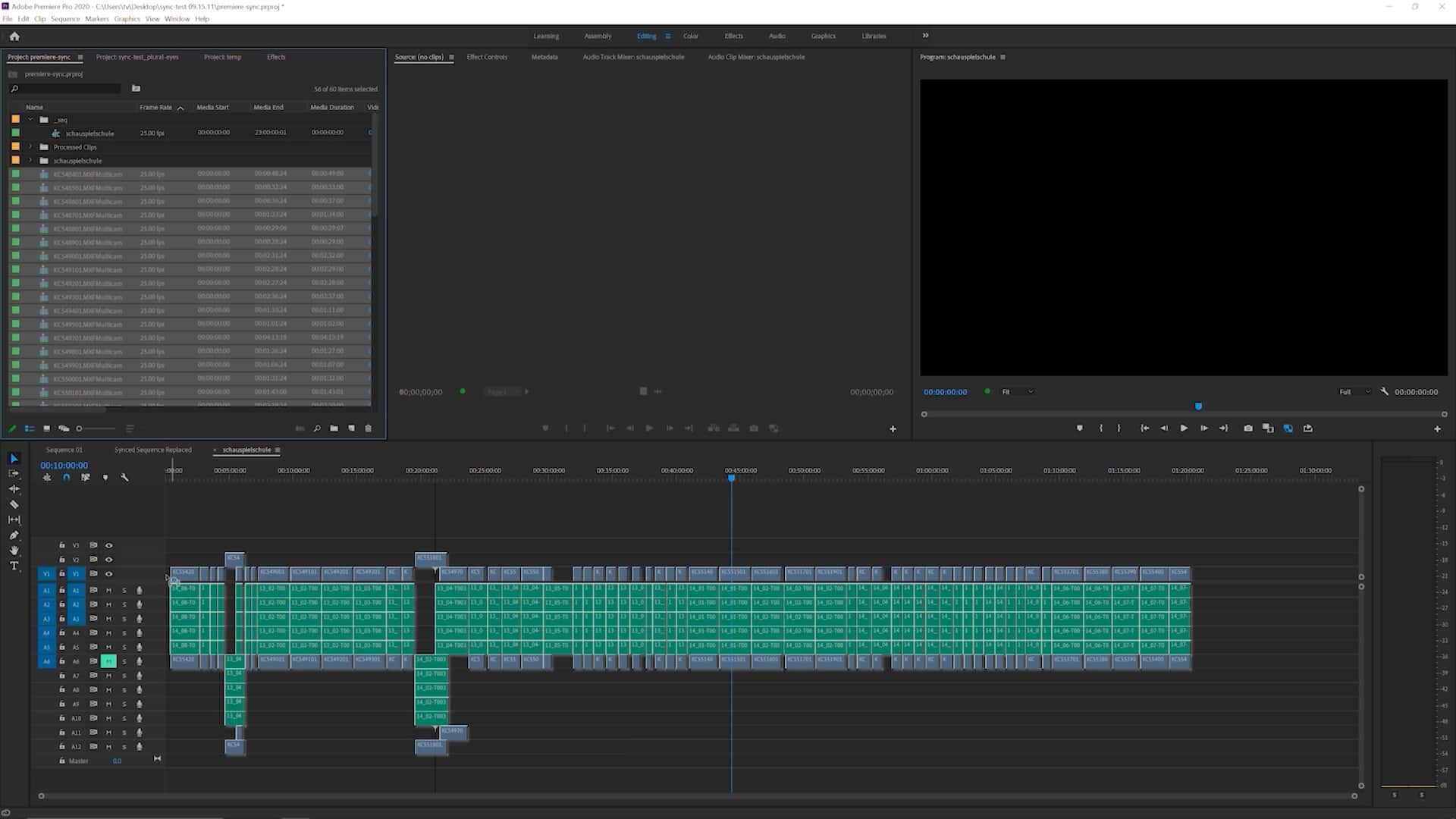 Plurales vs Premiere Pro final Multicam