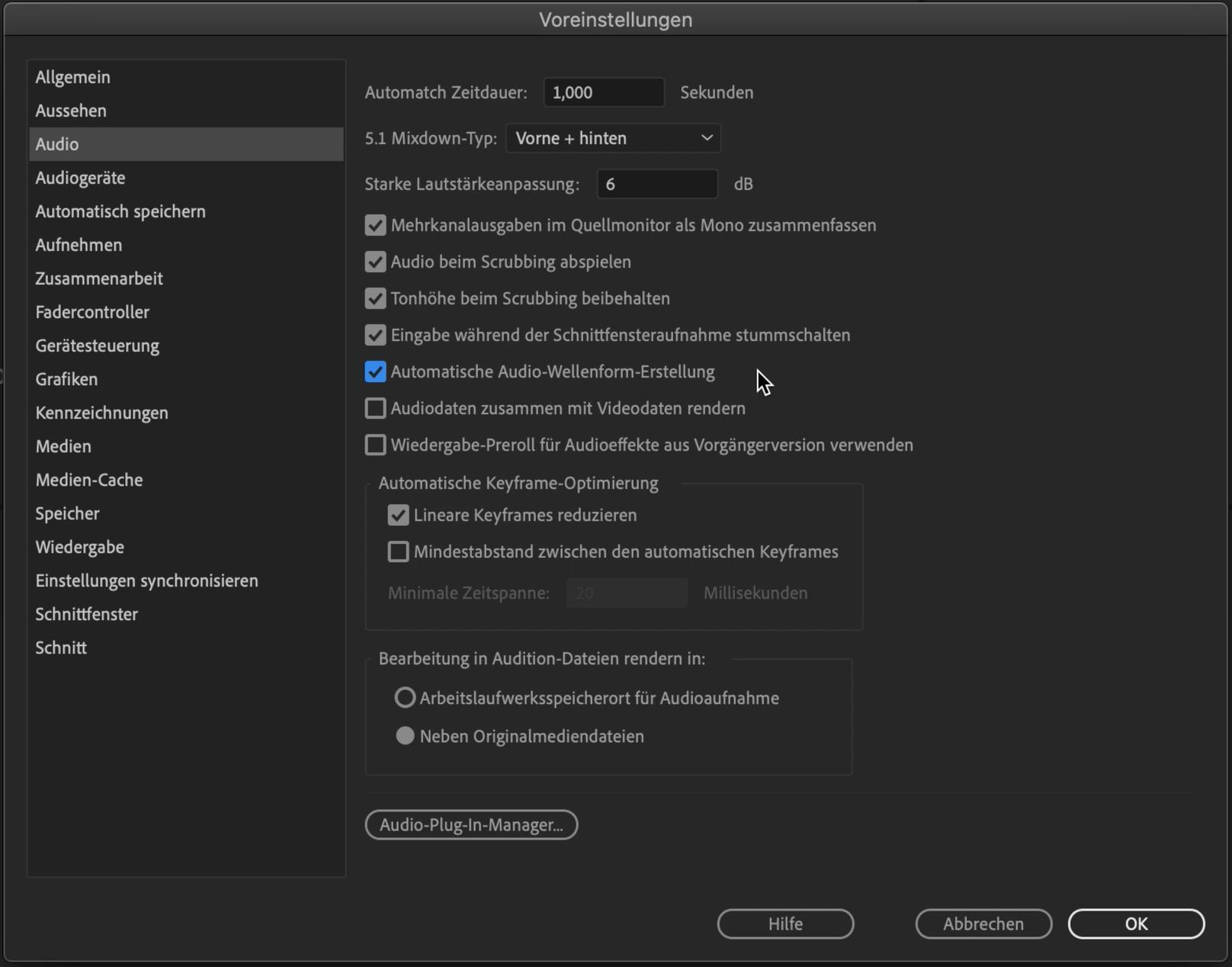 Premiere Pro Anfänger Tutorial 12