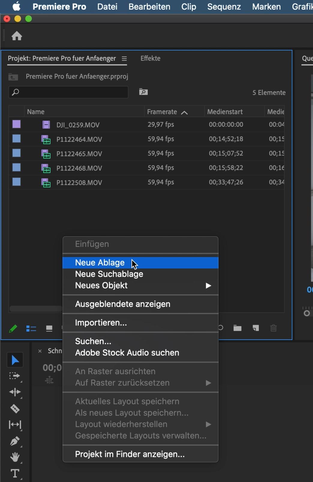 Premiere Pro Anfänger Tutorial 33
