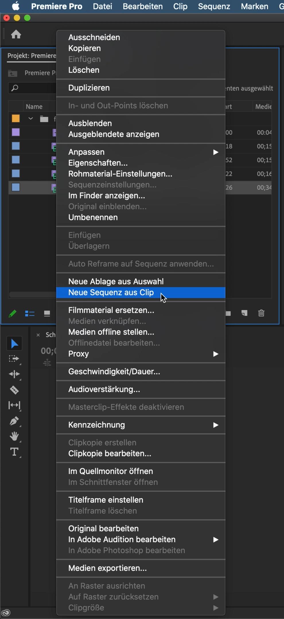 Premiere Pro Anfänger Tutorial 38