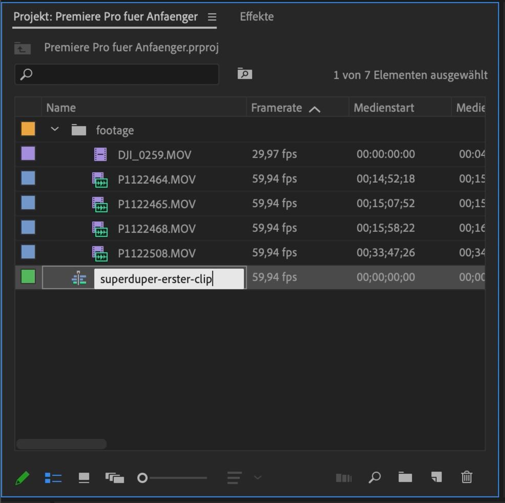 Premiere Pro Anfänger Tutorial 39