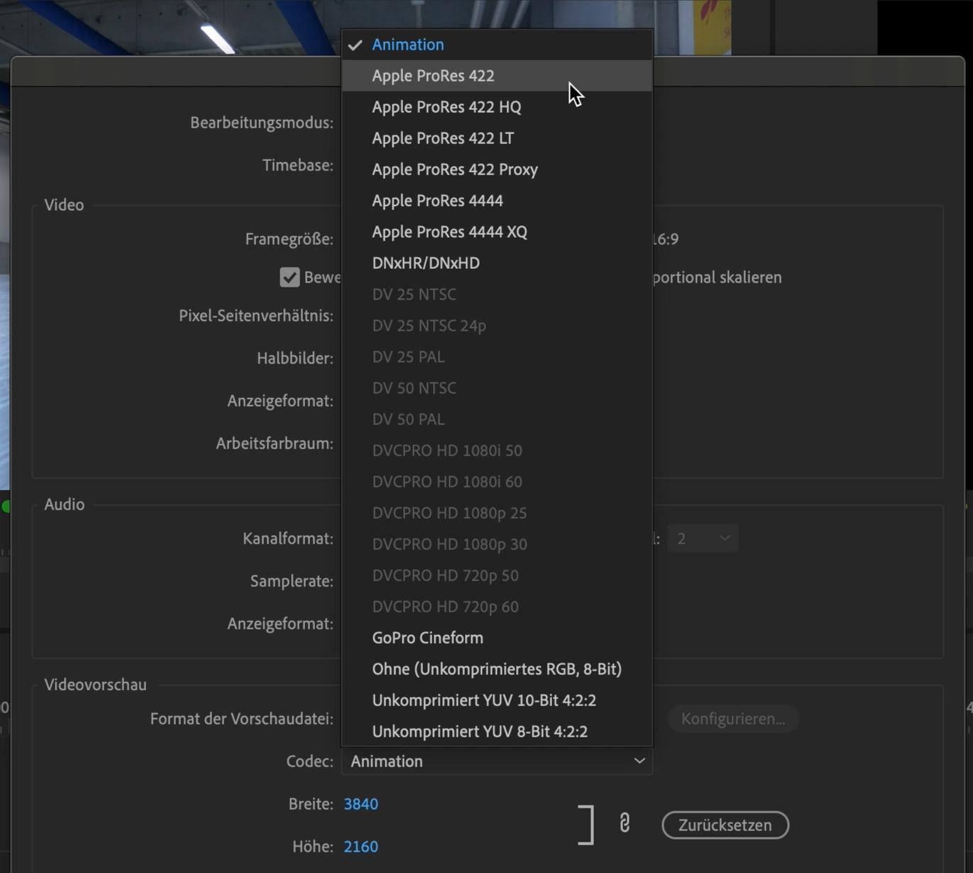 Premiere Pro Anfänger Tutorial 43
