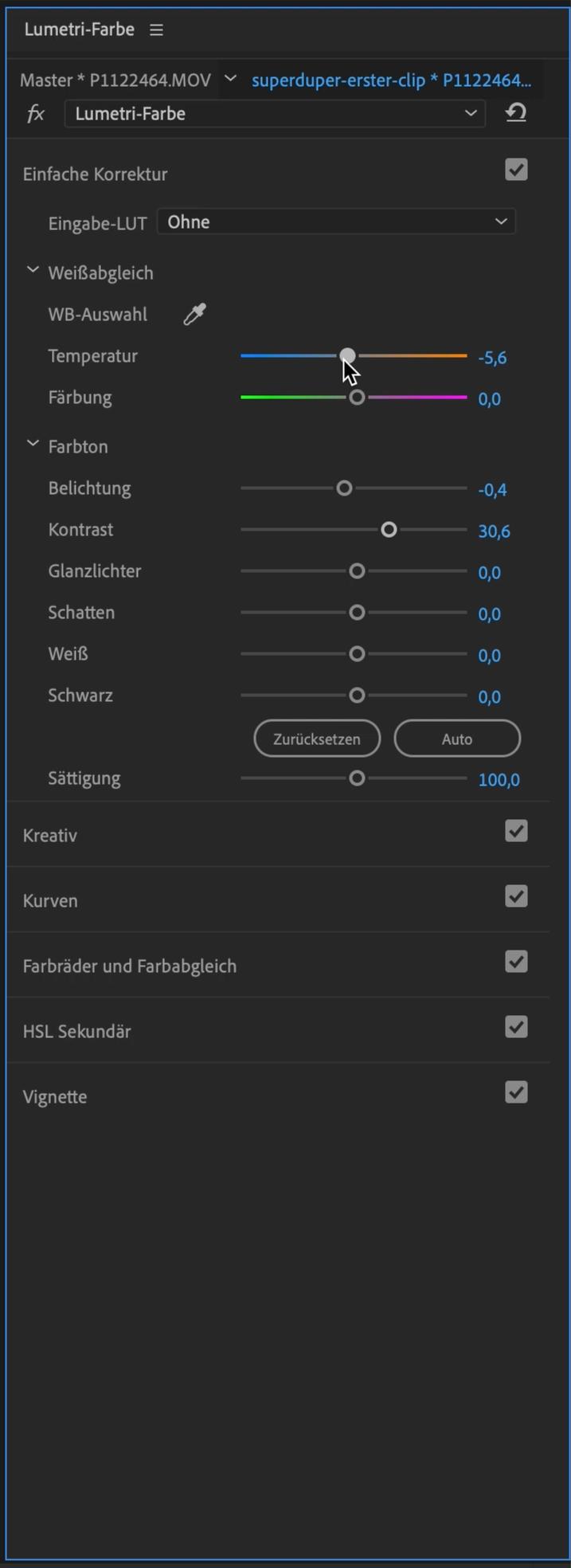 Premiere Pro Anfänger Tutorial 69