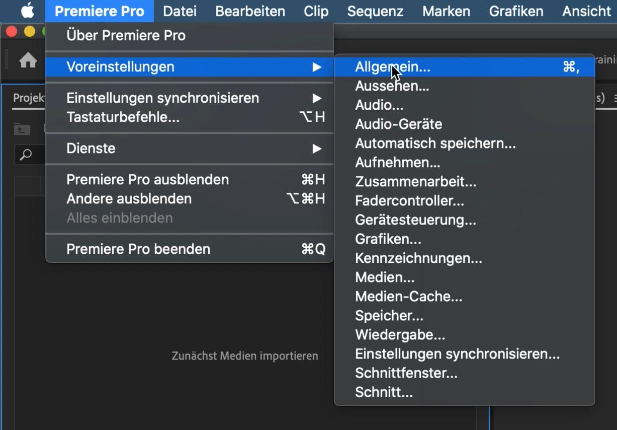 Premiere Pro Anfänger Tutorial 9